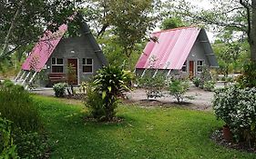 Happy Forest B&B
